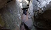 Excursión Senderismo Fontainebleau - Cabaret Masson - Photo 5