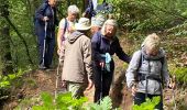 Excursión Senderismo Durbuy - Oppagne - Photo 3