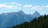 Tour Zu Fuß Domegge di Cadore - Sentiero del Pastore - Photo 2