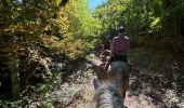 Trail Horseback riding Buoux - Provence 2025 J2 - Photo 18