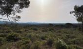 Trail Walking Roquebrune-sur-Argens - Roquebrune - MF de Palaison - Photo 4