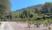 Tour Wandern Tautavel - les gorges . tautavel par les vignes  ..  retour par la vallée - Photo 11