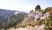 Excursión Senderismo Aurel - Le Plateau de Solaure par Aurel - Photo 17