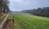 Tour Wandern Gerpinnes - Fromiee 110225 - Photo 16