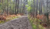 Trail Walking Fontainebleau - 25 avril - Photo 5