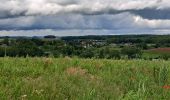 Tour Wandern Havelange - Méan  - Photo 4