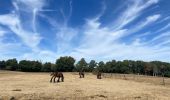 Tour Wandern Marche-en-Famenne - Verenne (marche) - Photo 18