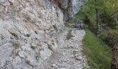 Tour Wandern Bellecombe-en-Bauges - montagne du charbon : montée par la piste Reposoir. col de bornette . refuge de la combe / retour même itinéraire sauf par les champs et bois depuis bornette  - Photo 14