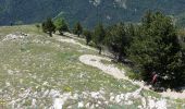 Randonnée Marche Châtillon-en-Diois - Les Cabanes de Châtillon (Glandasse) - Photo 14