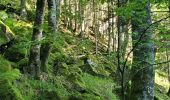 Excursión Senderismo Cauterets - Cauterets > Lac de Gaube - Photo 10