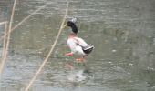 Percorso Marcia Liegi - Par Vesdre et canal de l'Ourthe  - Photo 10