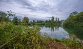 Tour Zu Fuß Kirchhain - Extratour Himmelsberg - Photo 3