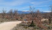 Trail Walking Venasque - venasque - col de murs - Photo 8