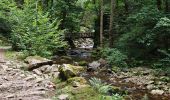 Trail Walking Rochesson - boucle rochesson - cascade du battion - rocher de la vierge - saut du bouchot - rochesson  - Photo 4