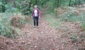 Trail Walking Saint-Avé - PR_56_St-Ave_CA_03_Circuit3b_Des-Landes-De-Rulliac_20141013 - Photo 2