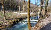 Tour Wandern Orquevaux - Orquevaux : Le cul du cerf - Photo 3