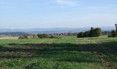 Tour Zu Fuß Wildberg - Deckenpfronn Grenzweg - Photo 8