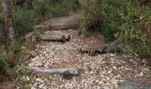 Randonnée Marche Le Cayrol - Compostelle / chemin du Puy : de Bonneval à Estaing - Photo 3