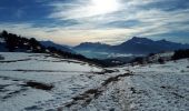 Tocht Sneeuwschoenen Susville - Pierre Plantée et Serre de l'Horizon en circuit - Photo 1