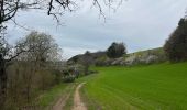 Trail Walking Grenant-lès-Sombernon - Grenant les sombernon  - Photo 3