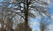 Trail Walking Court-Saint-Étienne - en passant par le moulin... - Photo 3