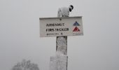 Trail Walking Soultz-Haut-Rhin - 2020-02-04 Rimbach Glashutte - Photo 3