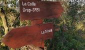 Tocht Stappen La Trinité - drap laghet plateau tercier GR51  - Photo 13