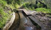 Tour Wandern São Jorge - Levada do Rei (Rother n°30) - Photo 7