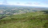 Percorso A piedi Sconosciuto - Rostrevor Forest - Slievemartin Trail - Photo 2