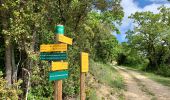 Trail Walking Seynes - Le tour du Mont Bouquet - Photo 17