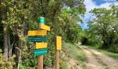 Tocht Stappen Seynes - Le tour du Mont Bouquet - Photo 17