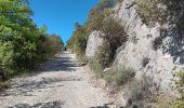 Tour Wandern Villes-sur-Auzon - entre Auzon et le GR du massif du Ventoux - Photo 9