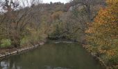 Trail Walking Dinant - ANSEREMME ... val de Lesse. - Photo 2