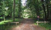 Trail Walking Rethondes - en forêt de Laigue_6_12_2019_Route Forestière des Princesses_Route et Chemin de Briançon - Photo 20