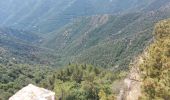 Trail Walking Val-d'Aigoual - les cascades de l'aigoual par seyrerede - Photo 2