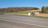 Excursión Bici de montaña Vouthon-Haut - reco trace VTT  - Photo 9