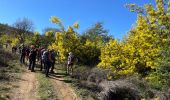 Excursión Senderismo Tanneron - Tanneron - Photo 1