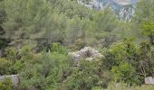 Tour Wandern Ollioules - Châteauvallon - Ollioules - Photo 9