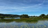 Tour Wandern Labergement-Sainte-Marie - La réserve naturelle du lac de Remoray : le plan d’eau de la Seigne à Labergement-Sainte-Marie - Photo 1