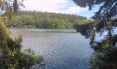 Tocht Stappen Bütgenbach - butgenbach tour du lac  - Photo 16