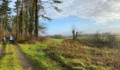 Trail Walking Marche-en-Famenne - Humain - Photo 8