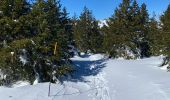 Randonnée Marche Pont de Montvert - Sud Mont Lozère - Le Pic Cassini - Photo 3