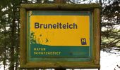 Tour Zu Fuß Gemeinde Heidenreichstein - Bruneiteichweg - Photo 4