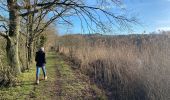 Tocht Stappen Overijse - Tour Genval Rixensart 4/2/21 - Photo 2