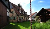 Percorso A piedi Kalchreuther Forst - Rundweg um Kalchreuth - Photo 10