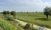 Tocht Elektrische fiets Dordrecht - Les moulins de Kinderdijk à Biesbosch - Photo 8