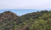 Trail Walking La Garde-Freinet - les roches  blanches - Photo 8