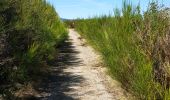 Trail Walking Les Plantiers - coeur des cevennes - Photo 12