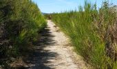 Tocht Stappen Les Plantiers - coeur des cevennes - Photo 12