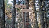 Trail Walking Séchilienne - Lac de Luitel - Pic de l'oeilly  - Photo 2